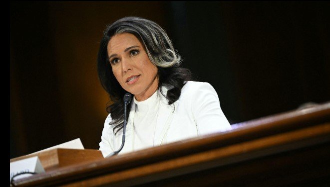 Tulsi Gabbard News and Media Presence